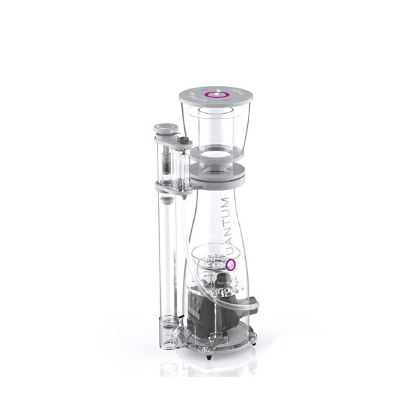 ゼンスイ　ＮＹＯＳ　ＱＵＡＮＴＵＭ　１２０　６０Ｈｚ　西日本用　ニオス　プロテインスキマー　関東当日便
