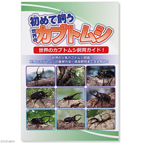 楽天市場】簡単カブトムシ・クワガタ飼育用品セット 関東当日便