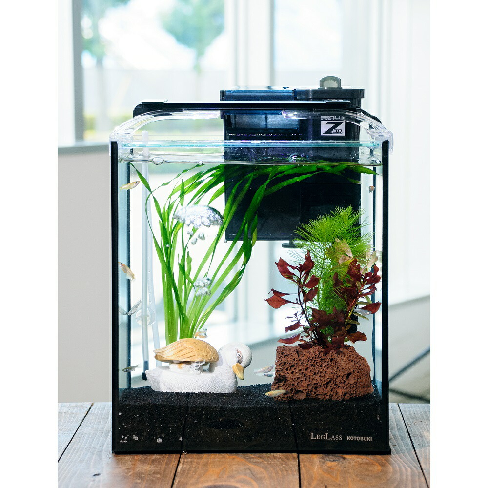 （めだか）（水草）簡単メダカ飼育水草レイアウトセット　ラメメダカ　ミックス付　２５ｃｍ水槽　カルガモ親子ｖｅｒ．　本州四国限定