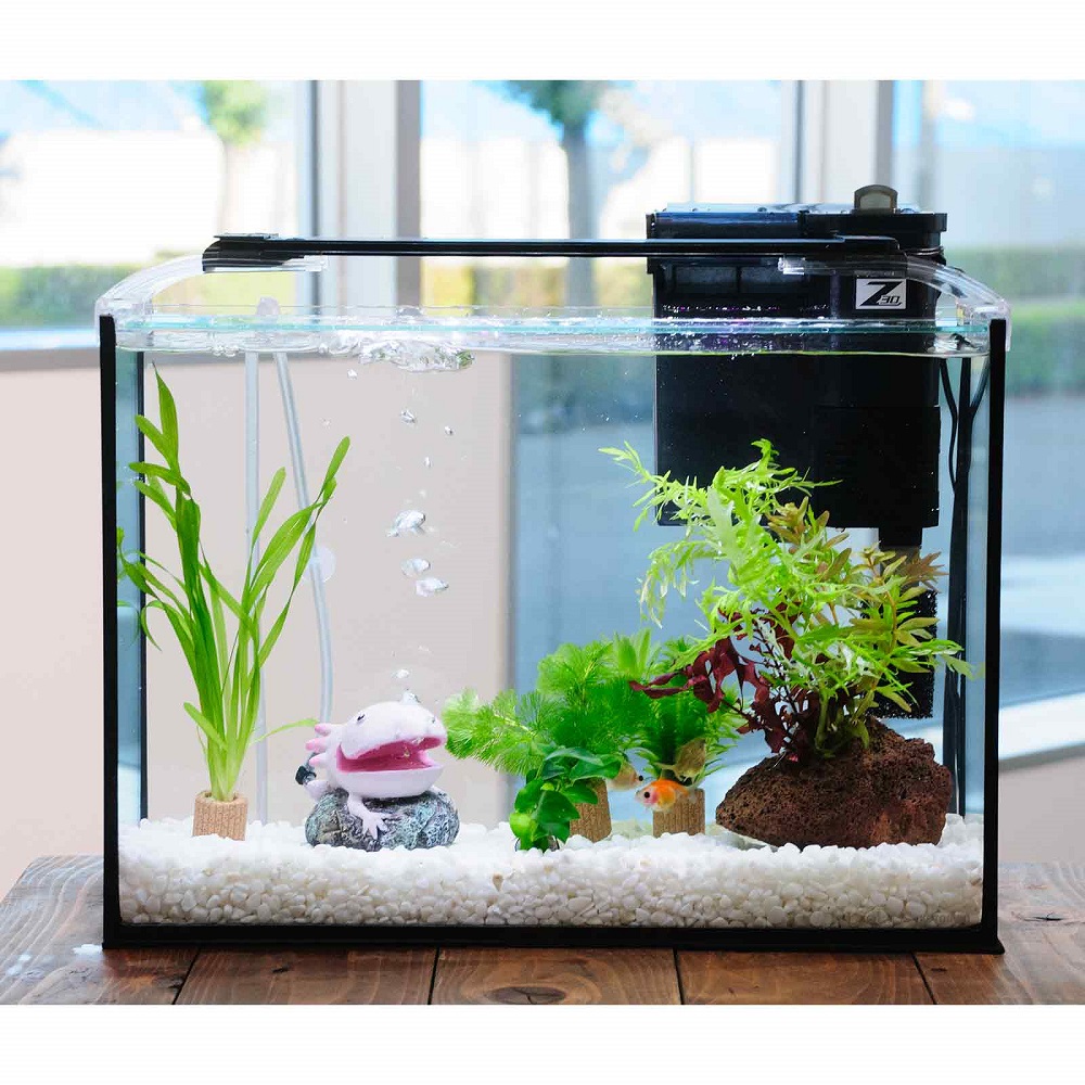 （国産金魚）（水草）簡単ピンポンパール飼育水草レイアウトセット　４０ｃｍ水槽　ウーパールーパーｖｅｒ．　本州四国限定　関東当日便