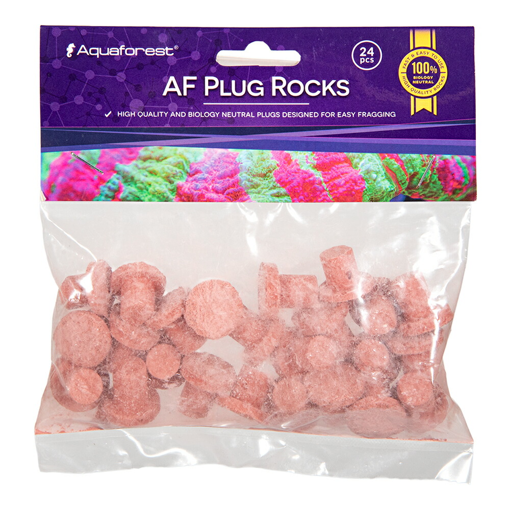 アクアフォレスト　ＡＦ　Ｐｌｕｇ　Ｒｏｃｋｓ　Ｐｕｒｐｌｅ　２４個入り　関東当日便｜charm 3980 店