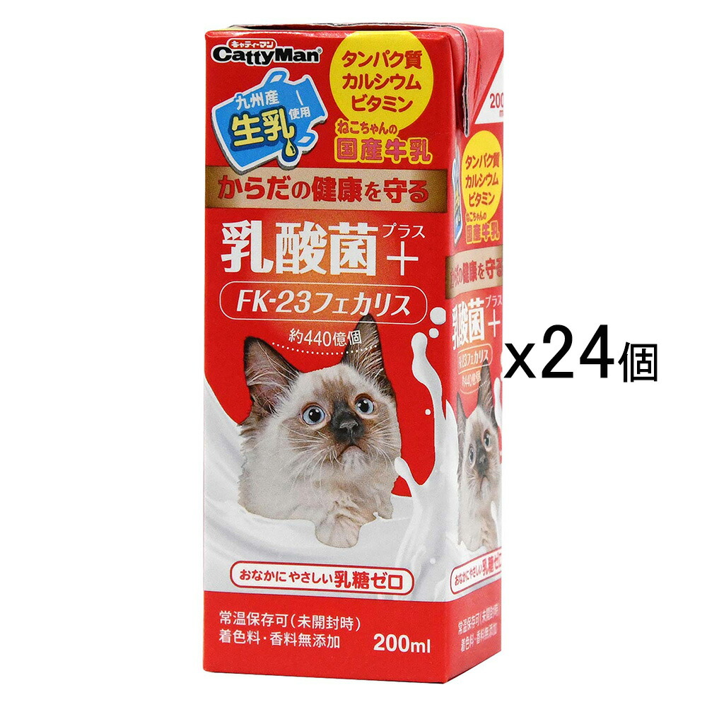 キャティーマン　ねこちゃんの国産牛乳　乳酸菌プラス　２００ｍｌ×２４本　関東当日便