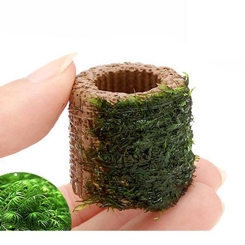 （水草）巻きたて　ライフマルチ（茶）ウォーターフェザー（水中葉）（無農薬）（３個）