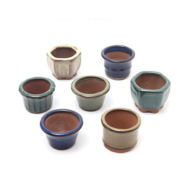楽天市場】盆栽鉢 「瀬戸焼文山窯色豆鉢6点セット」 植木鉢 色鉢 豆鉢