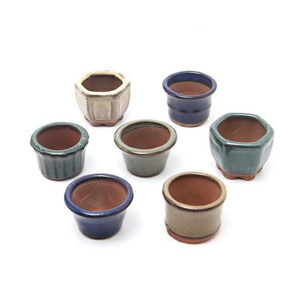 楽天市場】盆栽鉢 「瀬戸焼文山窯色豆鉢6点セット」 植木鉢 色鉢 豆鉢