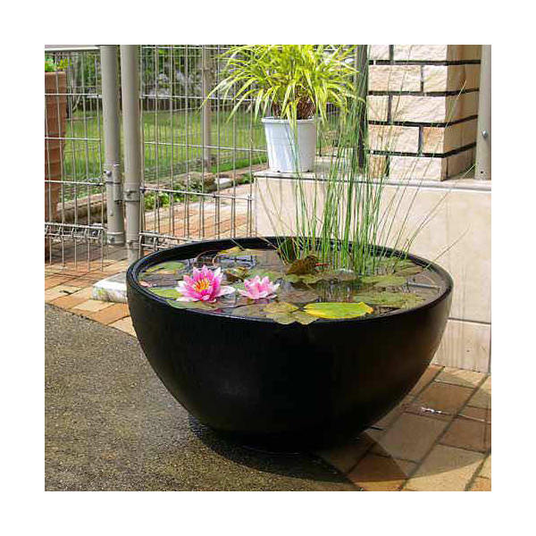 楽天市場】睡蓮鉢 睡蓮鉢（メダカ鉢） 新型 凛 RIN 角型