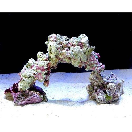 ライブロック　Sグレード16個　約8.2ｋｇ ライブロック Sグレード16個 約8.2kg 楽天市場】sグレードライブ