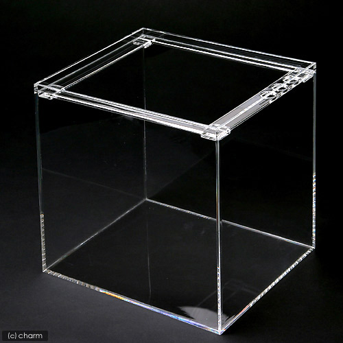 水槽　アクリル水槽　ラクシス　Ｎｏ．１３　（３００×２５０×３００ｍｍ）　３０ｃｍ水槽　関東当日便