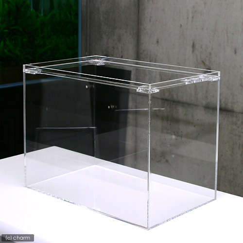 水槽　アクリル水槽　ラクシス　Ｎｏ．２７　（４００×２５０×３００ｍｍ）　４０ｃｍ水槽　関東当日便