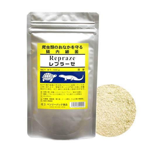 関東当日便お持て成し 爬虫類・両生類-ペット・ペットグッズ