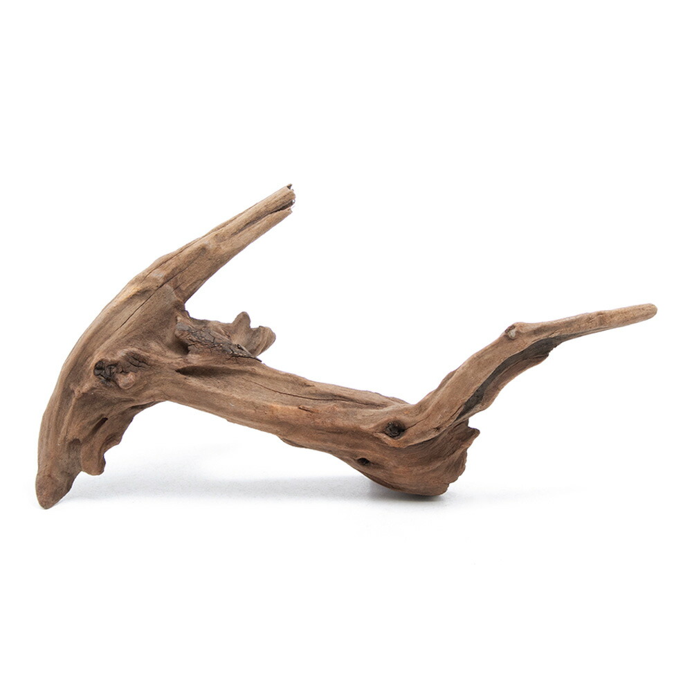 楽天市場】GEX 天然流木 Mサイズ（約30〜40cm） 1本 形状お