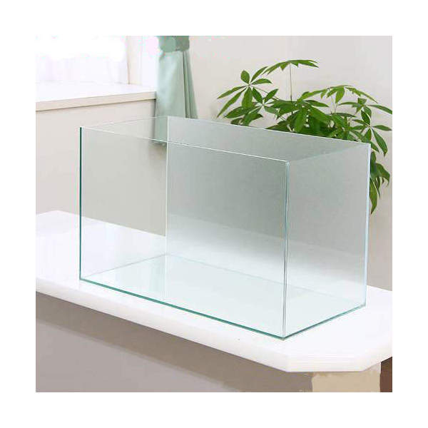 バックスクリーン貼付済　エーハイム　ＥＪ－６０　６０ｃｍ水槽　サンド（６０×３０×３６ｃｍ）（単体）　お一人様１点限り　関東当日便