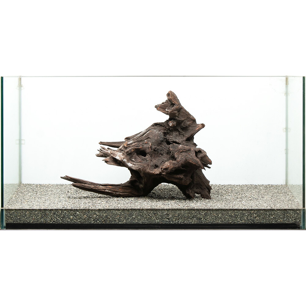 一点物　ドリフトウッド　大型水槽用　８８０１６２　関東当日便｜charm 3980 店