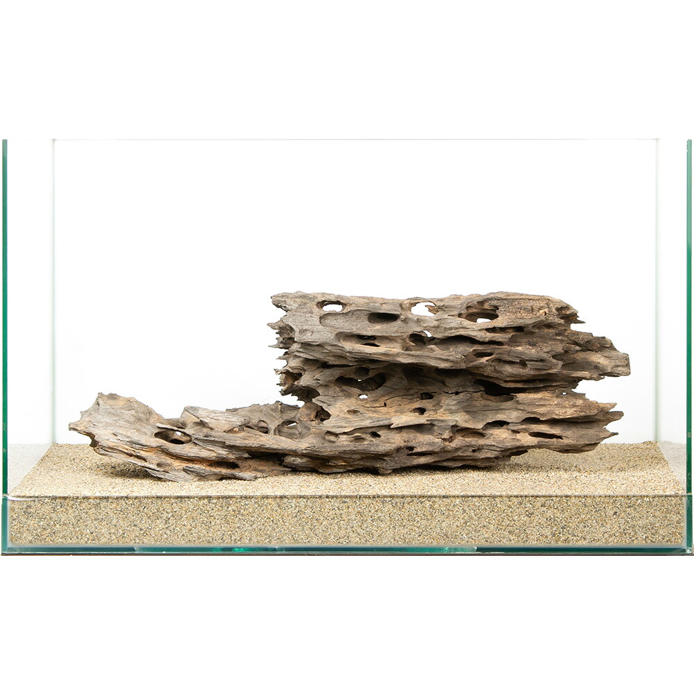 一点物　ハニカムウッド　６０ｃｍ水槽用　８８０２２３　関東当日便｜charm 3980 店