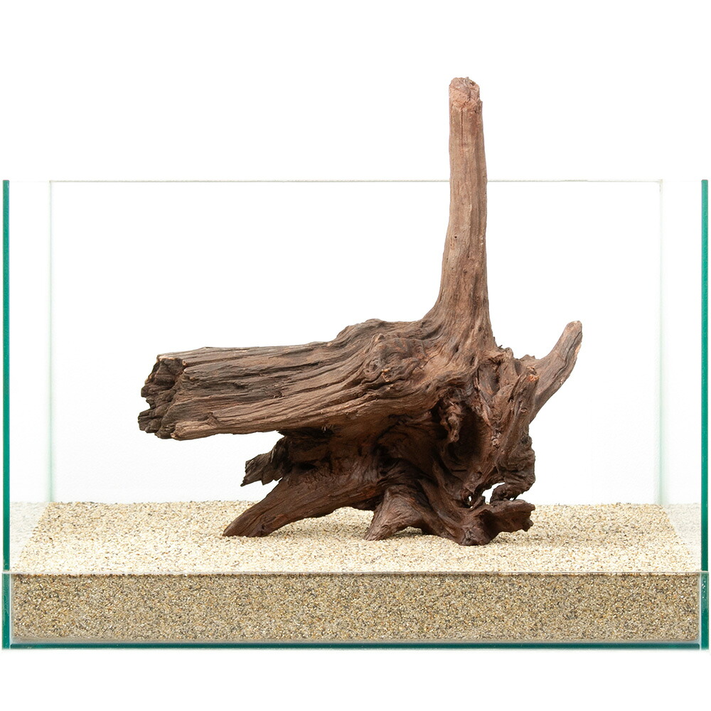 一点物　上質ドリフトウッド　４５ｃｍ水槽用　８８０７５４　関東当日便