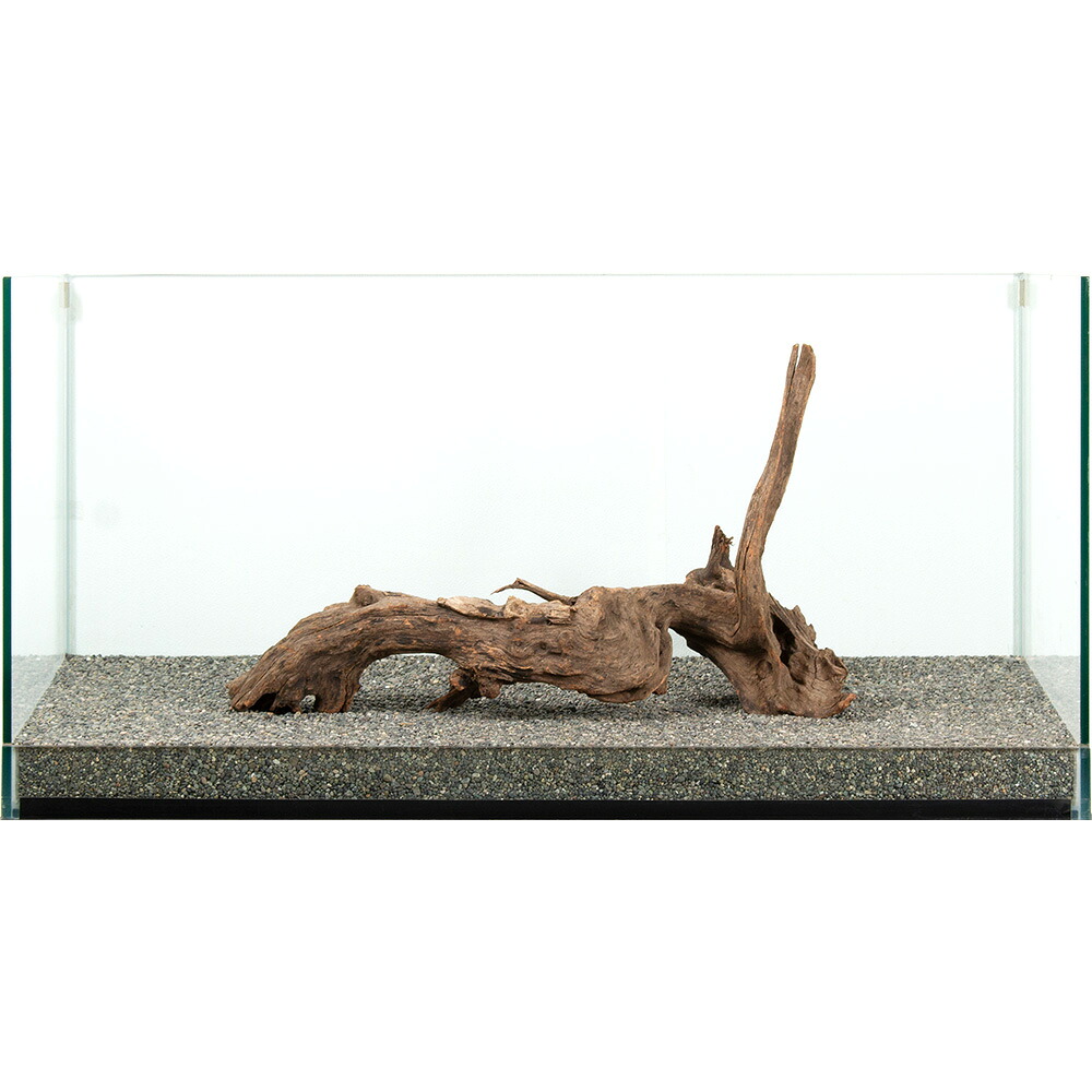 一点物　ドリフトウッド　大型水槽用　８８１０７６　関東当日便｜charm 3980 店