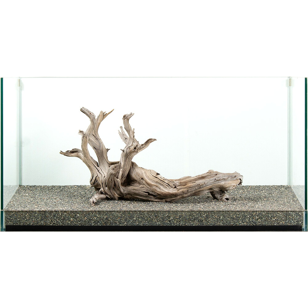 一点物 上質流木 禅 大型水槽用 881090 関東当日便|charm 3980 店