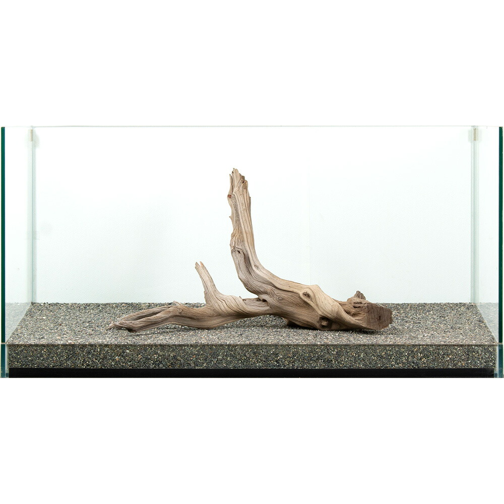 関東当日便お持て成し 熱帯魚・アクアリウム-流木-流木・砂利・レイアウト用品