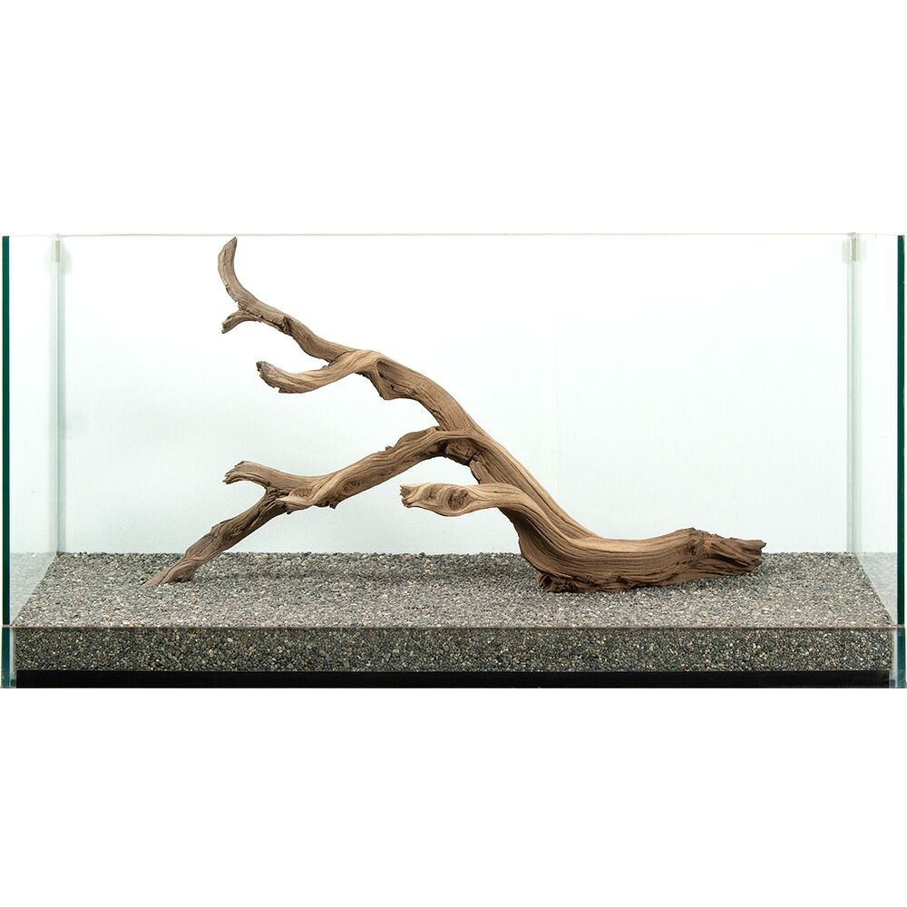 一点物 上質流木 禅 大型水槽用 881097 関東当日便|charm 3980 店
