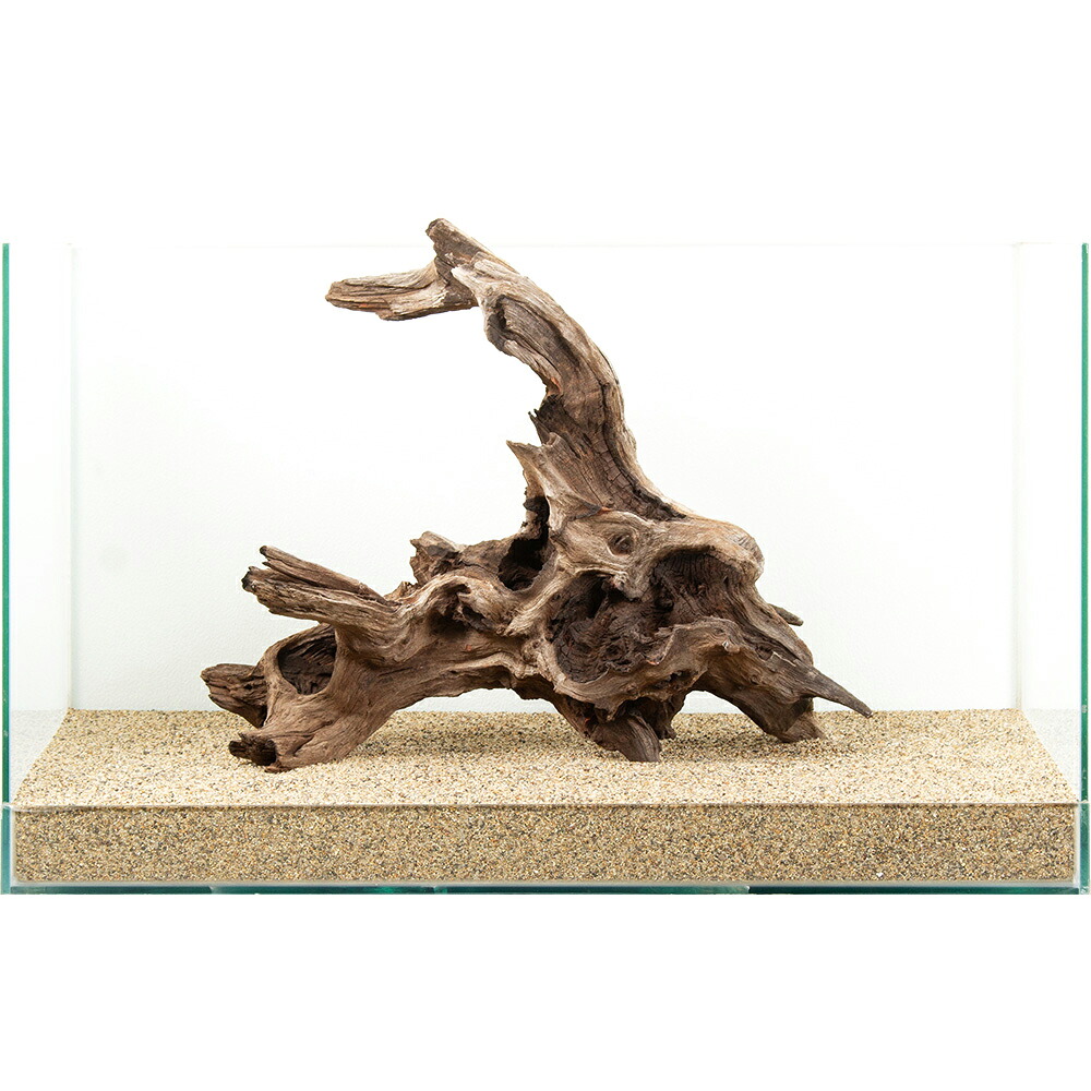 一点物　６０ｃｍ水槽用　ドリフトウッド　８８２２８３　関東当日便｜charm 3980 店