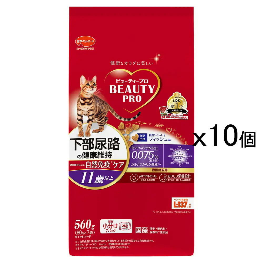 キャットフード　ビューティープロ　キャット　下部尿路の健康維持　１１歳以上　フィッシュ味　５６０ｇ×１０袋　お一人様２点限り　関東当日便