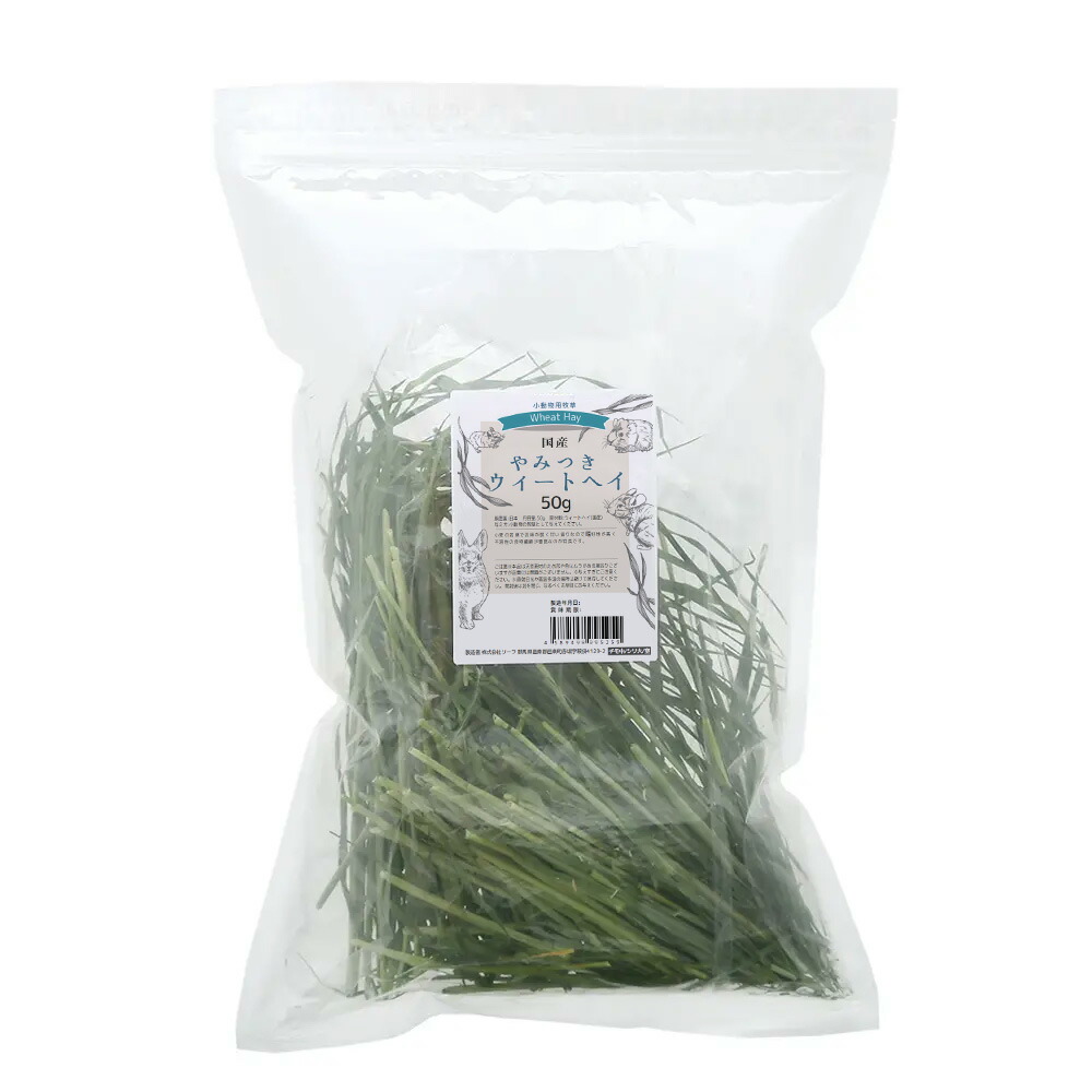 楽天市場】令和7年産 国産 やみつきイタリアンライグラス 20g お