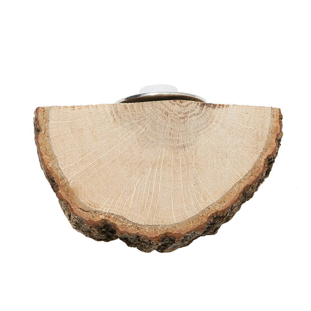 かじり木 予約専用品 楽天市場】輪切りステップ ＆ 固定式かじり木 コルクの木 Lサイズ 1