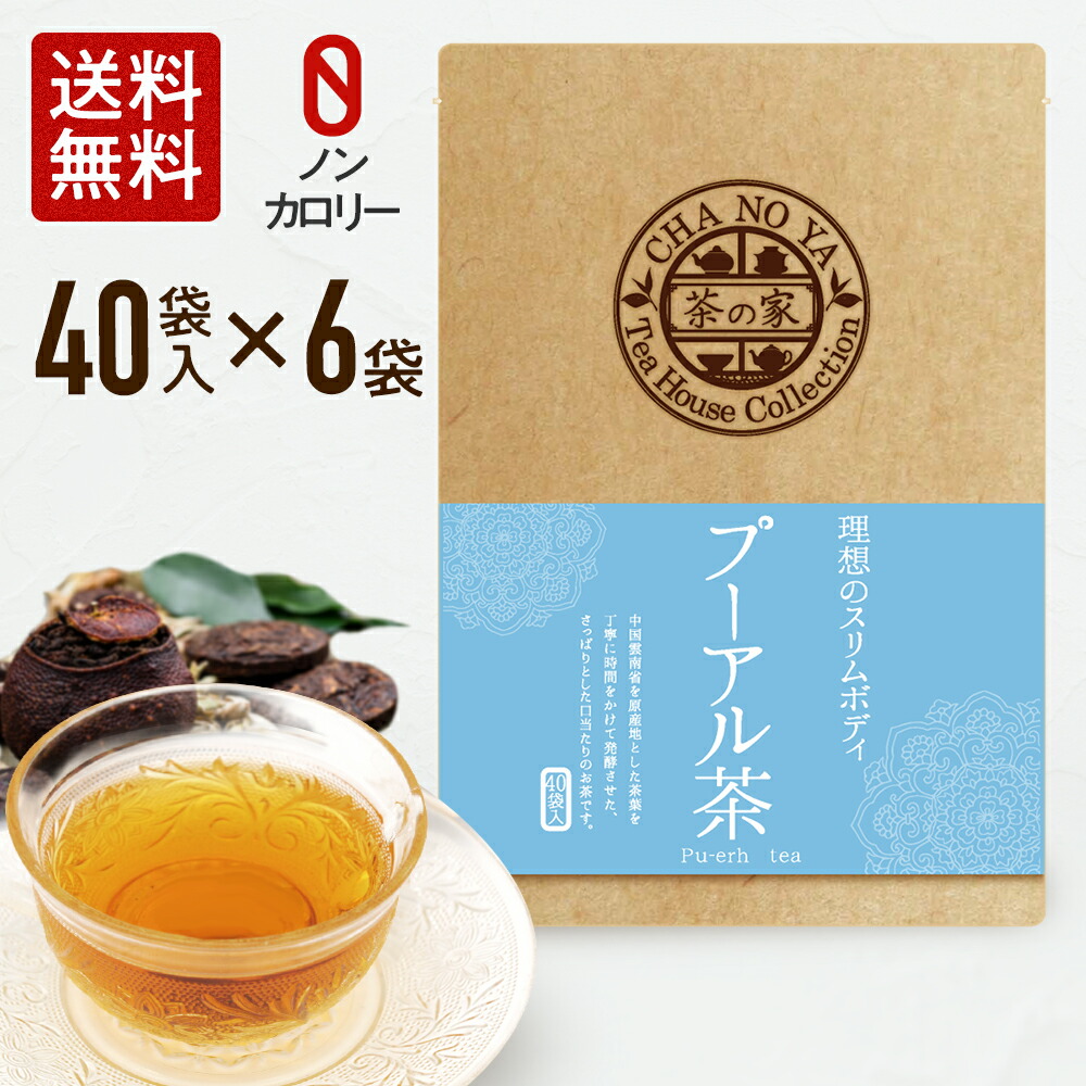 プーアル茶 ティーバッグ 40包 6袋セット 理想のスリムボディ 送料無料 ポリフェノール 農薬検査済み カロリー0 減肥茶 ダイエット プーアール茶 お中元 御中元 21 Optimistyouthfootball Com