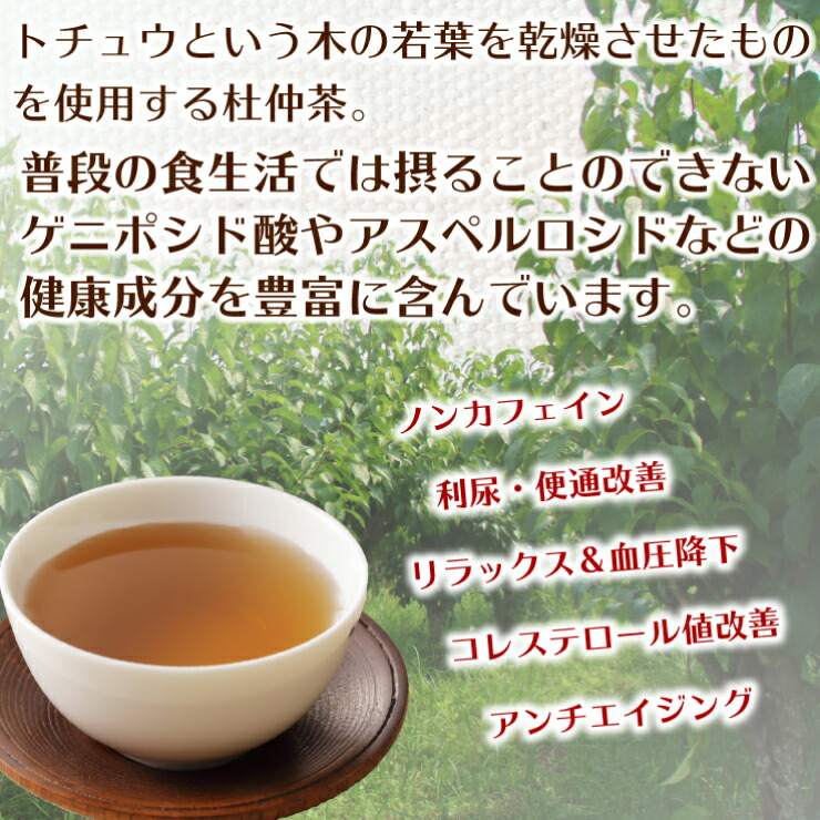 90%OFF!】 杜仲茶 1.5g×200包 40包×5袋 ノンカフェイン 妊娠中 お子様 健康 無漂白 ティーバッグ トチュウ茶 水出し メール便  コレステロール値改善 利尿 便通改善 アンチエイジング ダイエット 冷え性 お茶 送料無料 あす楽 transtorres.net