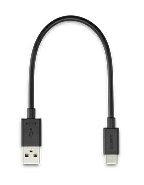 楽天市場】SONY INZONE Buds ( WF-G700N ) 付属 USB Type-C（R