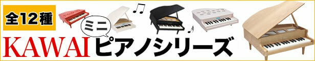 楽天市場】【在庫有 平日13時迄即日発送可 最短翌日配達】カワイ