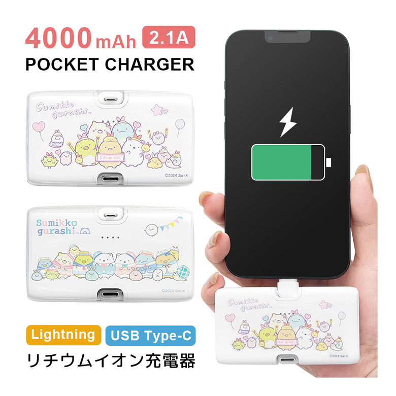 楽天市場】(9/4 20:00〜9/5 23:59 15％OFFクーポン) 【PSE適合品