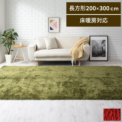 カーペット ラグ 200×300 絨毯 じゅうたん ラグマット 掃除 洗える 手洗い 洗濯 シャギーマット シャギーカーペット 高級感 フロアマット 床暖房対応 オールシーズン ホットカーペット対応 おしゃれ 200×300cm