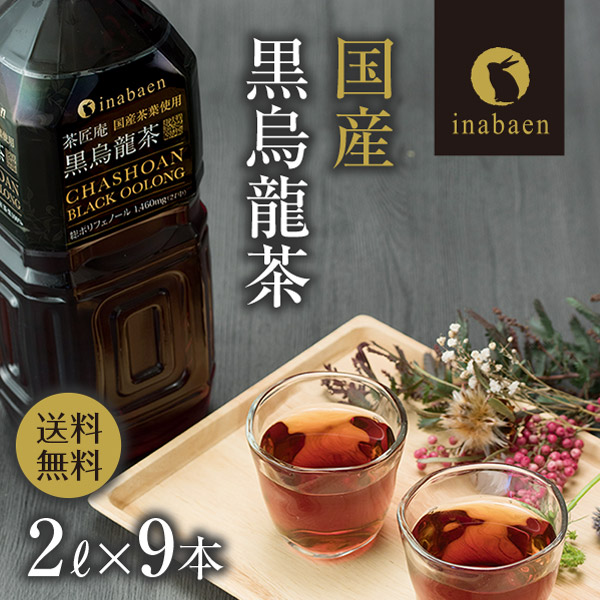 ライフドリンクカンパニー ウーロン茶 烏龍茶 500ml 48本 ペット