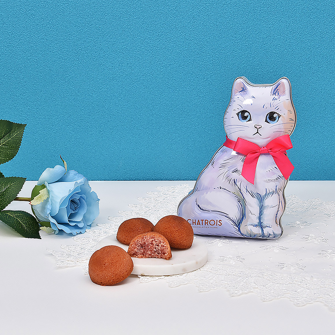 海シリーズ　サンセット　花　猫　5個セット 楽天市場】バレンタイン チョコ 2026 ねこみゃみれ にゃんポーチ