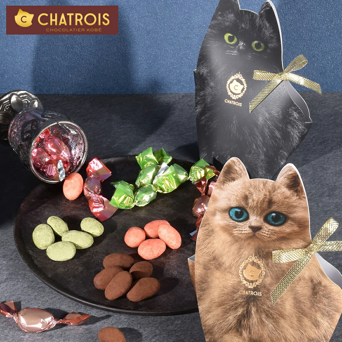 楽天市場】猫 フィナンシェ ギフト お菓子 缶 猫お菓子 可愛いお