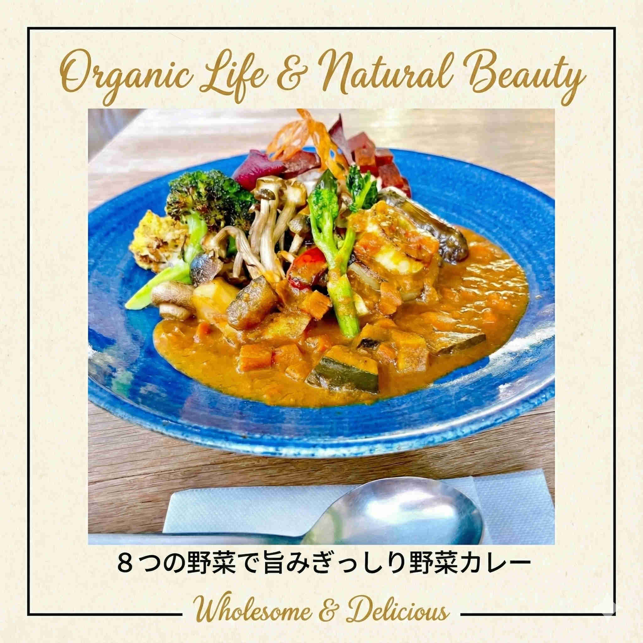チャヤマクロビ 野菜カレー レトルト 200g 【10個、20個 送料無料あり】|CHAYAマクロビオンラインショップ