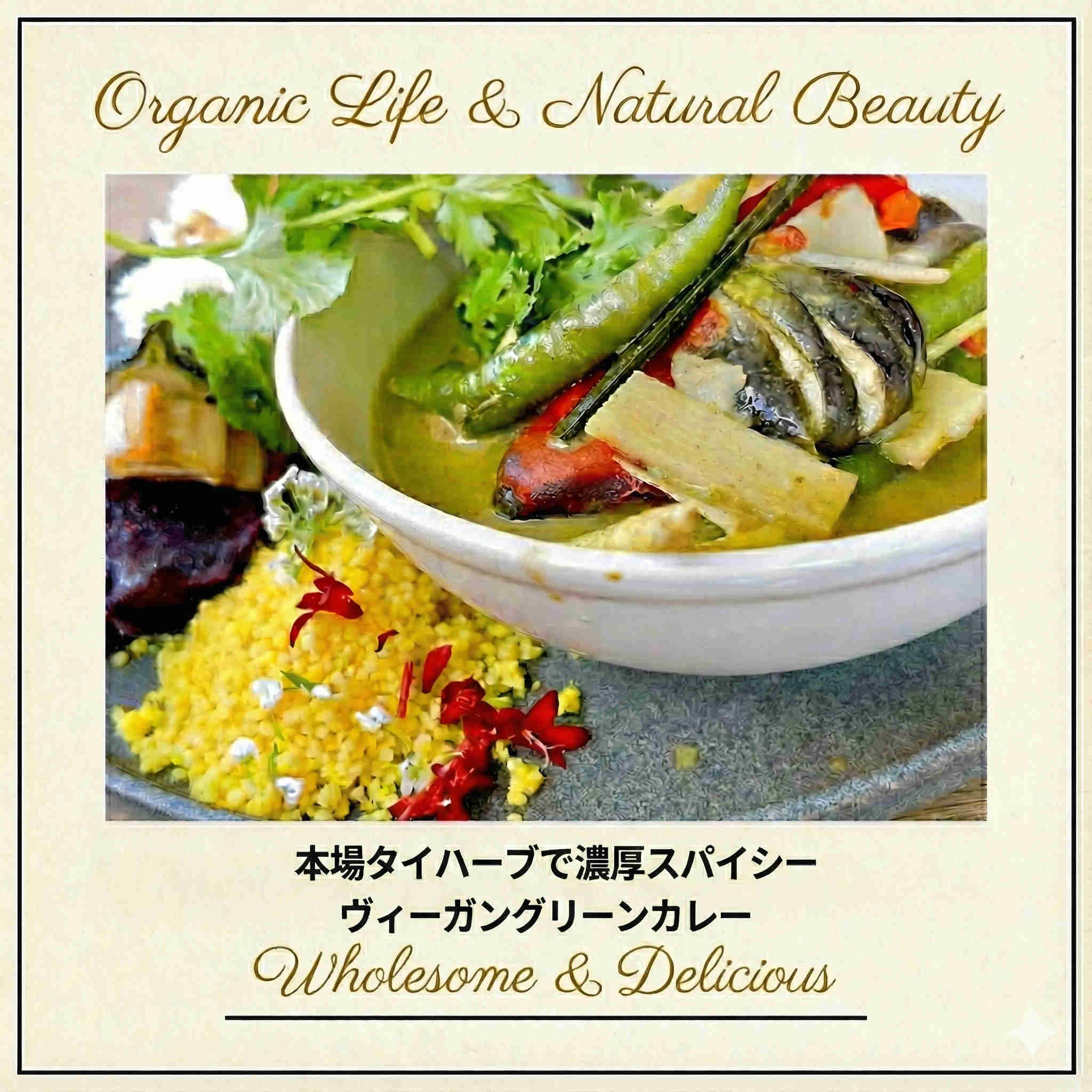 チャヤマクロビ ヴィーガングリーンカレー レトルト 180g 【10個、20個 送料無料あり】|CHAYAマクロビオンラインショップ