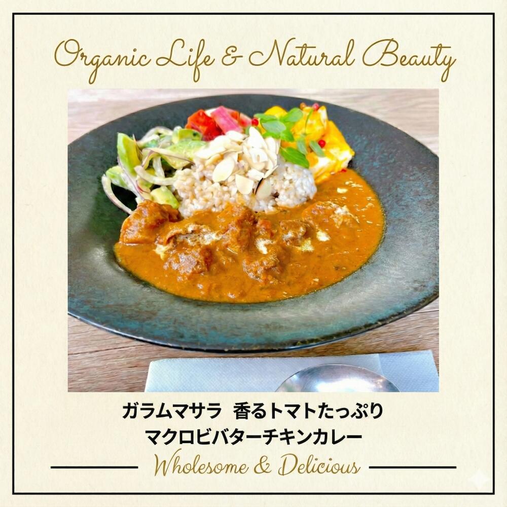【美味しくリニューアル】チャヤマクロビ マクロビバターチキンカレー レトルト 180g 【10個、20個 送料無料あり】