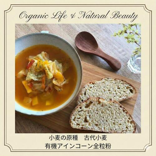 チャヤマクロビ 有機アインコーン全粒粉 小麦粉 古代小麦 2.5kg【4個、8個 送料無料あり】