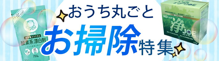 楽天市場】【マラソン限定クーポンで500円OFF!】ラクシュミー