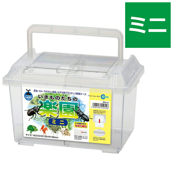 楽天市場 送料無料 マルカン 飼育ケース プラケース いきものたちの楽園 ミニ 仕切り板付 プラスチック 昆虫 クワガタ カムトムシ 亀 カメ 飼育用品 Pw 14 ライフスタイル 生活雑貨のmofu