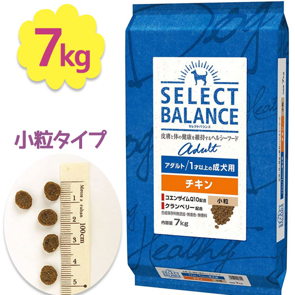 楽天市場】【スーパーSALEで使える!500円OFFクーポン配布中