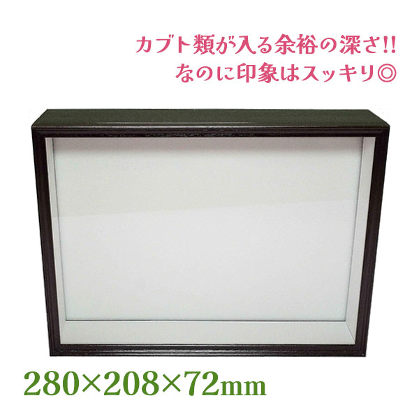 楽天市場】完成品 標本箱大 幅450×奥行320×高さ60mm ディスプレイ 自由