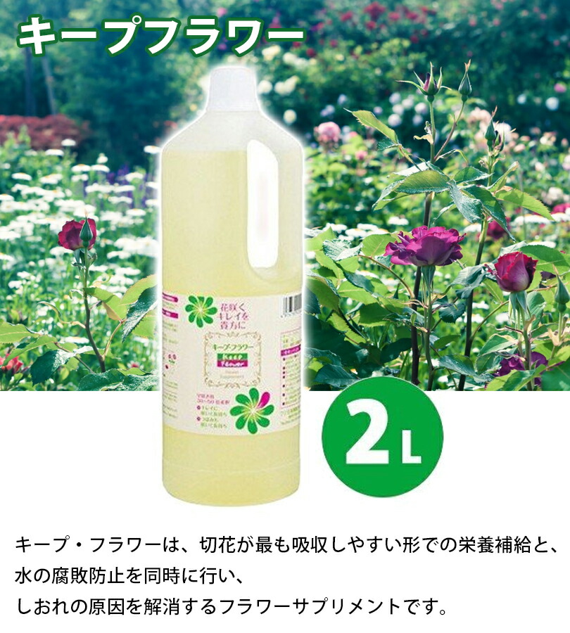 楽天市場 送料無料 フジ日本精糖 切り花栄養剤 キープ フラワー 2l 延命剤 切り花活力剤 業務用 フラワーアレンジメント ライフスタイル 生活雑貨のmofu