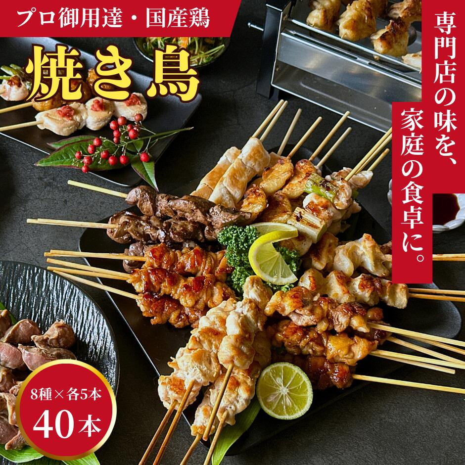 母の日 ギフト 専門店の味 本格 焼き鳥セット 40本 (5本×8種 専用塩、タレ付き) 食べ比べ 冷凍 おつまみ 国産 鶏肉 やきとり 焼鳥 ヤキトリ 簡単 お惣菜 加熱用 生串 もも ささみ 皮 ねぎま ぽんちり 鶏カルビ やげん軟骨 レバー BBQ お取り寄せグルメ 送料無料