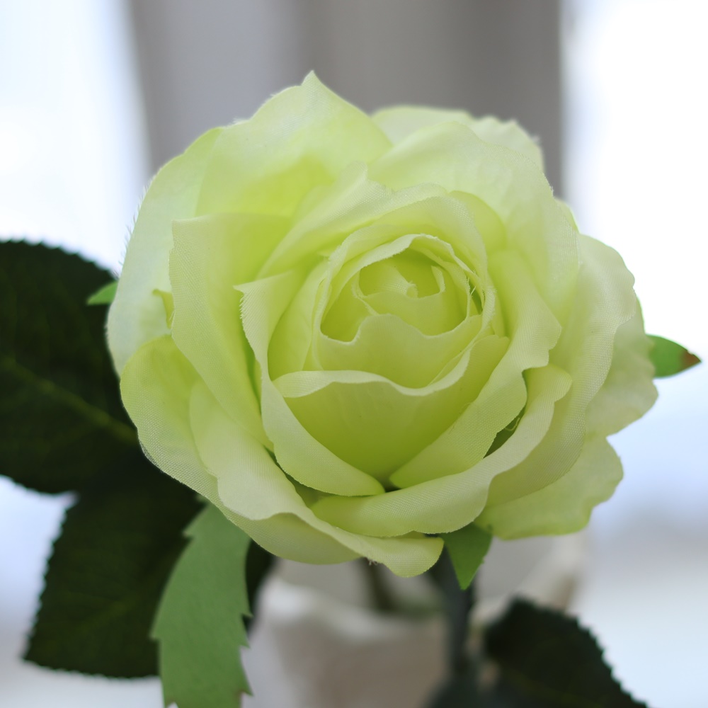 楽天市場 造花 バラ アンティーク 花材 プライマルローズ ライトグリーン 花径8 5 長さ34cm 1本 アンティーク雑貨 Cheerful
