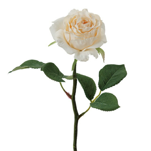 楽天市場 造花 バラ ハイブリッドロース クリーム 観葉植物 インテリア 造花 薔薇 アンティーク 雑貨 花径7cm 高さ38cm メール便400円 アンティーク雑貨 Cheerful