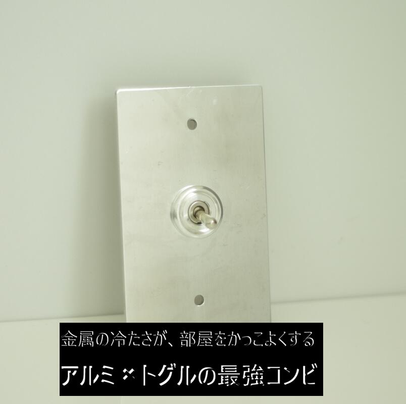 楽天市場】トグルスイッチプレート アルミ 2口 アンティーク調