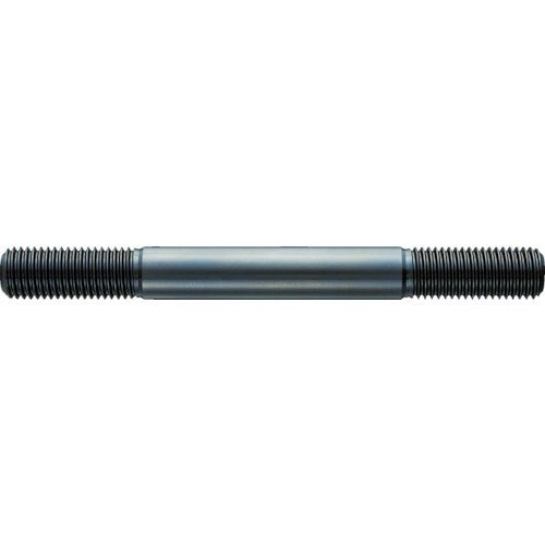 トラスコ中山(TRUSCO) スタットボルト 螺子釘 TSBM16250 M16 全長 250粍 x 10本 【容れもの売りわたす】